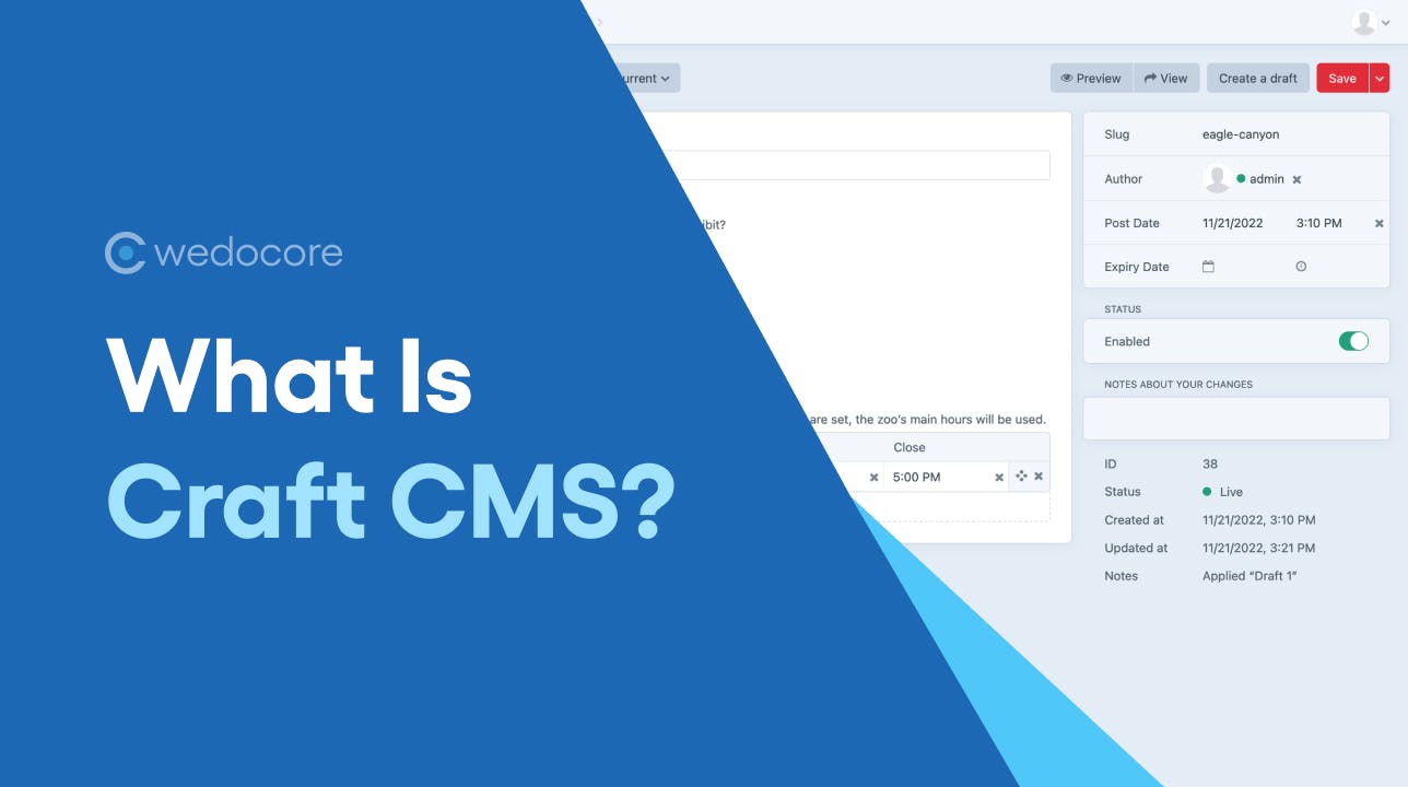 What Is Craft CMS? Explained for Beginners